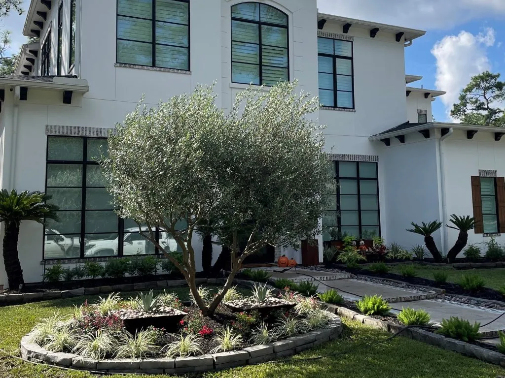 landscapers design fulshear houston katy cypress tx