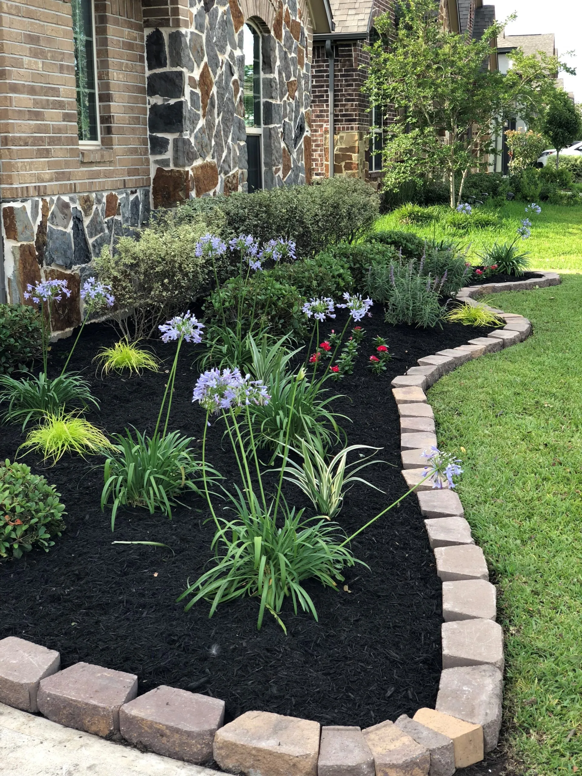 flowers landscape design contractors Fulshear Katy Houston TX