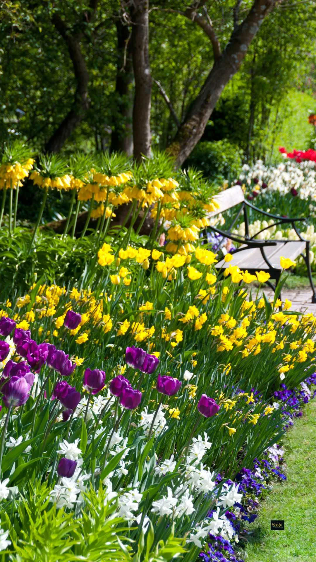 flower bed maintenance install edging contractors Fulshear Houston Katy Cypress TX