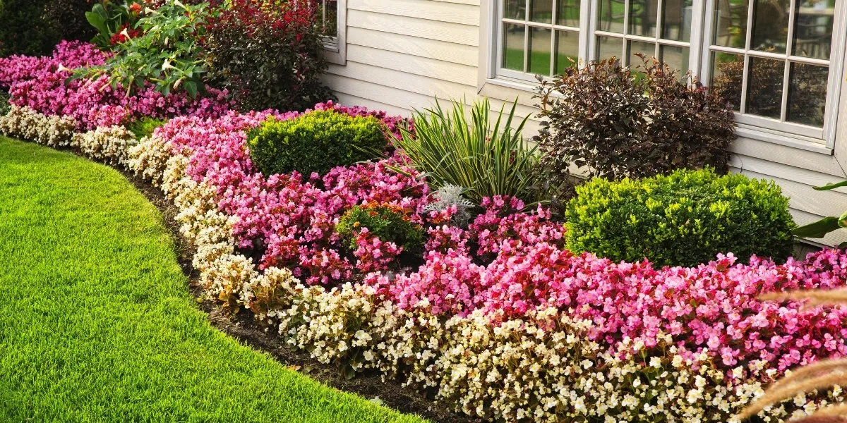 fall color flower bed maintenance refresh Katy Fulshear Houston TX