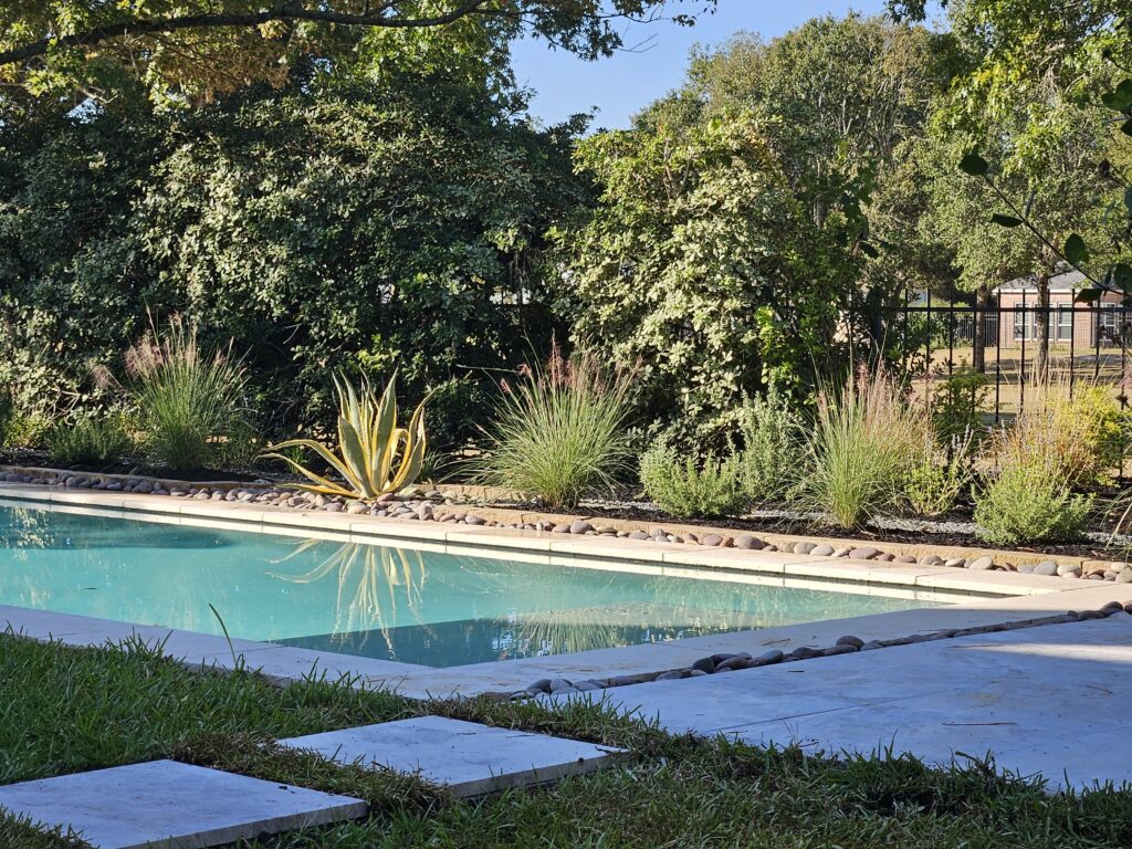 20251013_092003 - Sage Pools, Scapes & Design Rectangular pool with light-blue water, bordered by a stone edge and ornamental plants, dense shrubbery, and a fence in the background.