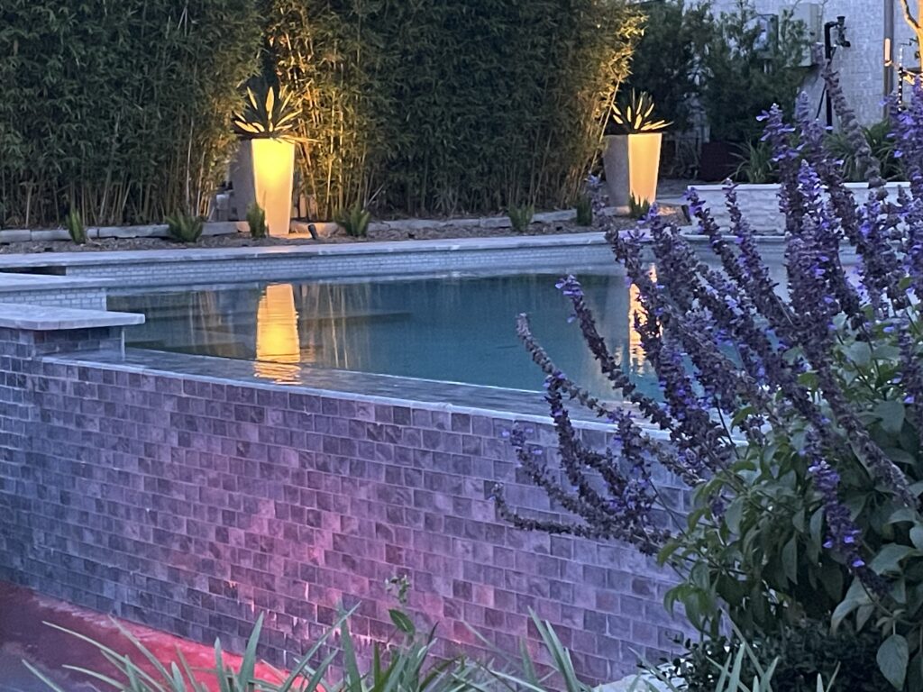 IMG_20250518_062716 2 - Sage Pools, Scapes & Design Evening poolside scene with warm-lit square planters along a bamboo hedge and purple flowering plants nearby.